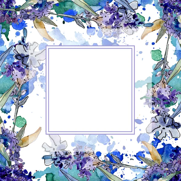 Fiori botanici floreali di lavanda. Acquerello sfondo illustrazione set. Quadrato ornamento bordo cornice . — Foto Stock