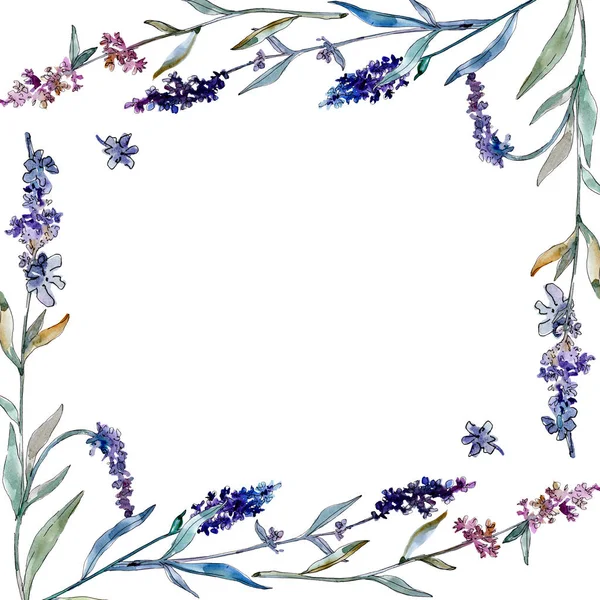 Lavanda flores botánicas florales. Conjunto de ilustración de fondo acuarela. Marco borde ornamento cuadrado . — Foto de Stock