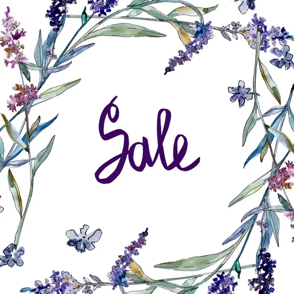 Lavender floral botanical flowers. Watercolor background illustration set. Frame border ornament square. — Stock Photo, Image