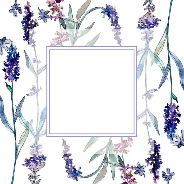 Lavanda flores botânicas florais. Conjunto de ilustração de fundo aquarela. Quadro borda ornamento quadrado . — Fotografia de Stock