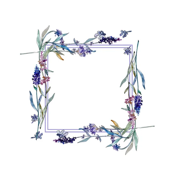 Lavanda flores botánicas florales. Conjunto de ilustración de fondo acuarela. Marco borde ornamento cuadrado . —  Fotos de Stock