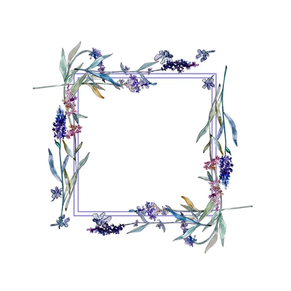 Lavanda flores botánicas florales. Conjunto de ilustración de fondo acuarela. Marco borde ornamento cuadrado . — Foto de Stock