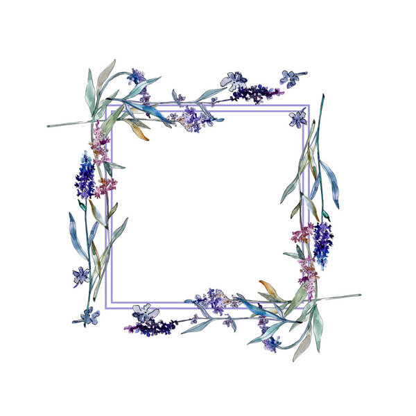 Лаванда цветочные ботанические цветы. Набор акварельных фонов. Граничный орнамент
.