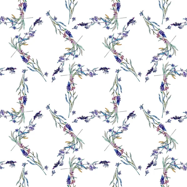 Lavender floral botanical flowers. Watercolor background illustration set. Seamless background pattern. — Stock Photo, Image