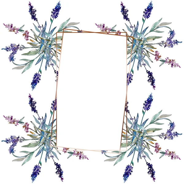 Fiori botanici floreali di lavanda. Acquerello sfondo illustrazione set. Quadrato ornamento bordo cornice . — Foto Stock