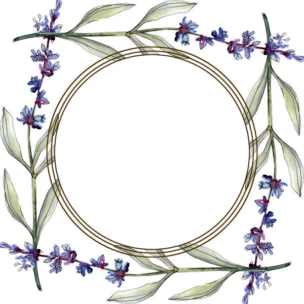 Lavendel blommiga botaniska blommor. Akvarell bakgrund illustration uppsättning. Ram kant prydnad kvadrat. — Stockfoto
