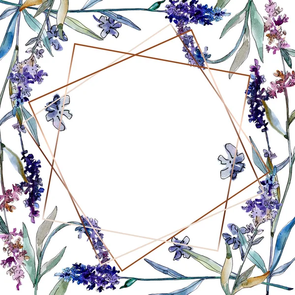 Fiori botanici floreali di lavanda. Acquerello sfondo illustrazione set. Quadrato ornamento bordo cornice . — Foto Stock