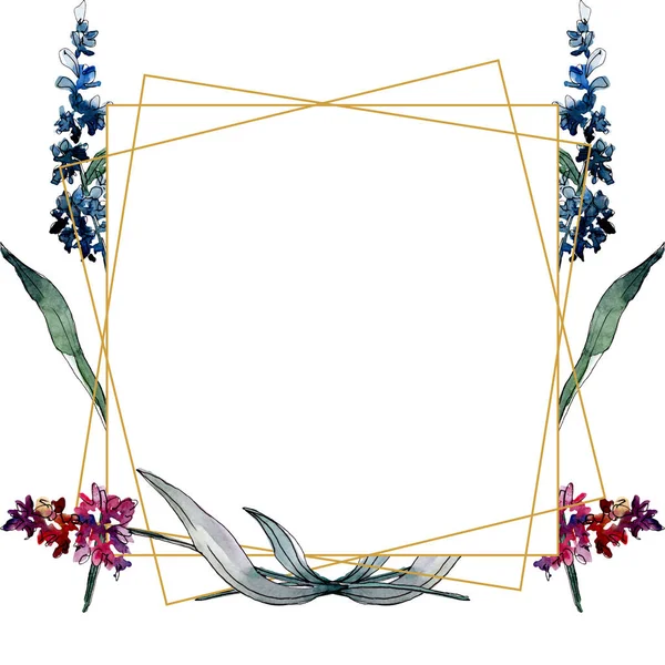 Fiori botanici floreali di lavanda. Acquerello sfondo illustrazione set. Quadrato ornamento bordo cornice . — Foto Stock