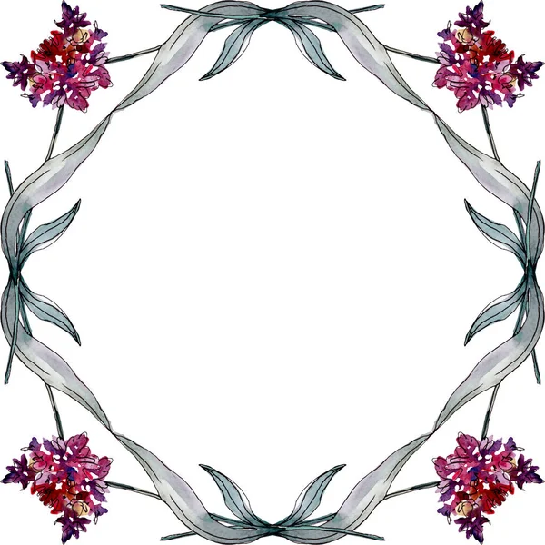Lavanda flores botânicas florais. Conjunto de ilustração de fundo aquarela. Quadro borda ornamento quadrado . — Fotografia de Stock