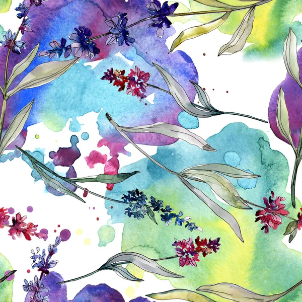 Fleurs botaniques florales de lavande. Ensemble d'illustration de fond aquarelle. Modèle de fond sans couture . — Photo