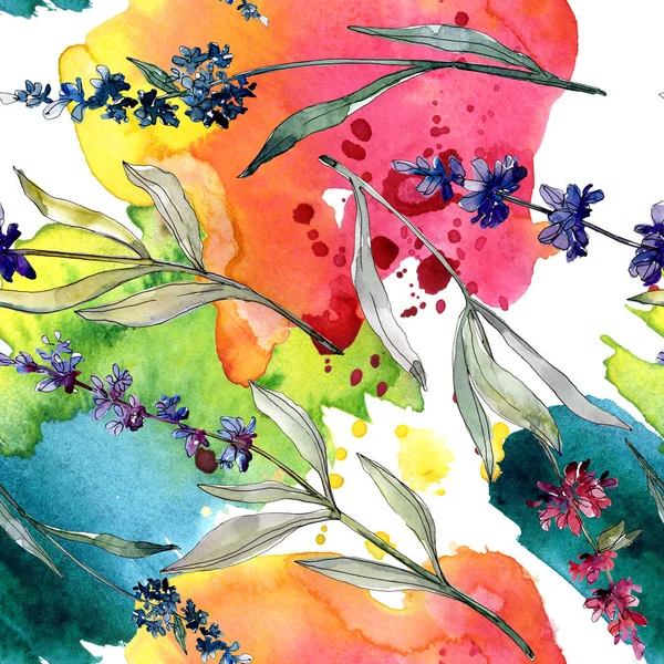 Flori florale botanice de lavandă. Set de ilustrații de fundal acuarelă. Model de fundal fără sudură . — Fotografie, imagine de stoc