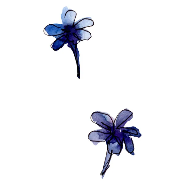 Lavender floral botanical flowers. Wild spring leaf wildflower isolated. Watercolor background illustration set. Watercolour drawing fashion aquarelle isolated. Isolated lavender illustration element.