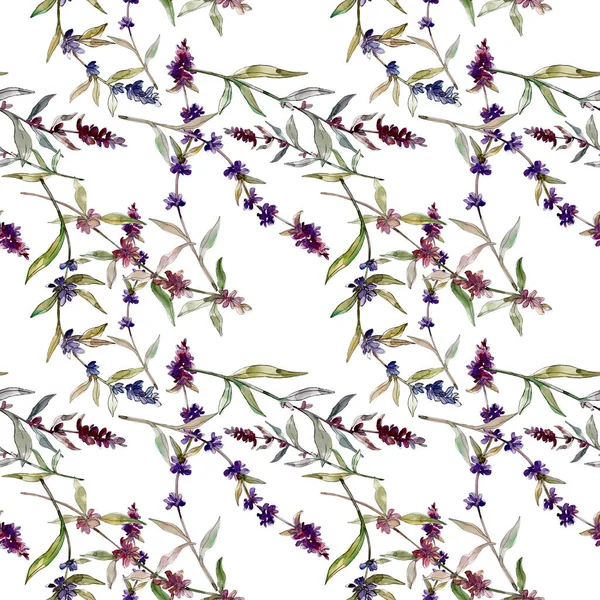 Paarse Lavendel Bloemen Botanische Bloemen Wilde Lente Blad Wildflower Aquarel — Stockfoto