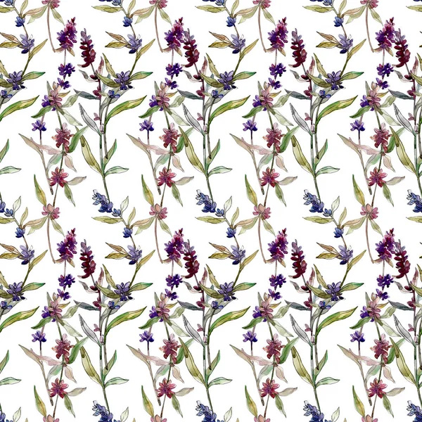 Purple Lavender Floral Botanical Flowers Wild Spring Leaf Wildflower Watercolor — Stock Photo, Image