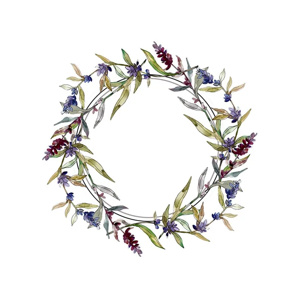 紫色のラベンダーの花の植物の花 野生の春の葉の野生の花が孤立しました 水彩背景イラストセット 水彩画ファッションアクアレル孤立 フレームボーダーオーナメント正方形 — ストック写真