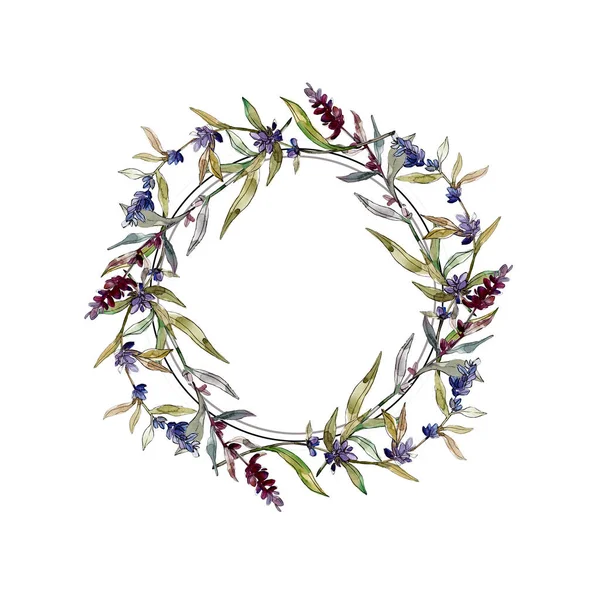 Purple lavender floral botanical flowers. Wild spring leaf wildflower isolated. Watercolor background illustration set. Watercolour drawing fashion aquarelle isolated. Frame border ornament square.