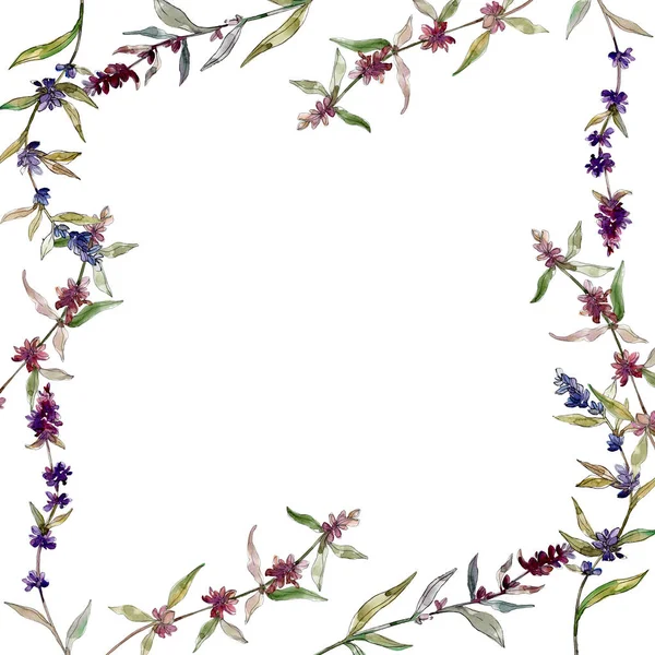 Фіолетові Лавандові Квіткові Ботанічні Квіти Дикий Весняний Лист Ізольований Набір — стокове фото