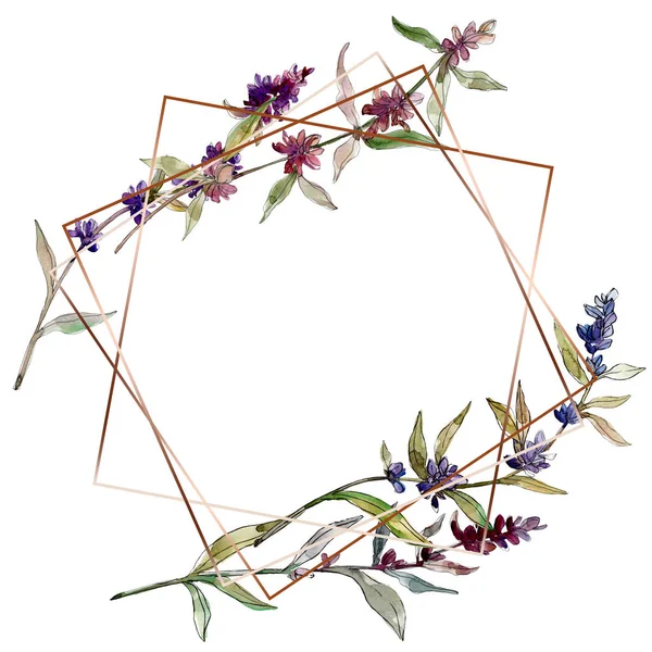 Фіолетові Лавандові Квіткові Ботанічні Квіти Дикий Весняний Лист Ізольований Набір — стокове фото