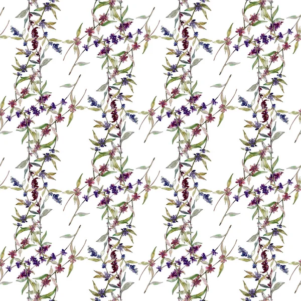 Paarse Lavendel Bloemen Botanische Bloemen Wilde Lente Blad Wildflower Aquarel — Stockfoto