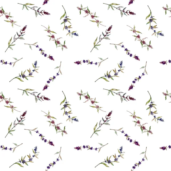 Lila Lavendel Blühende Botanische Blumen Wilde Frühlingsblume Aquarell Illustrationsset Vorhanden — Stockfoto