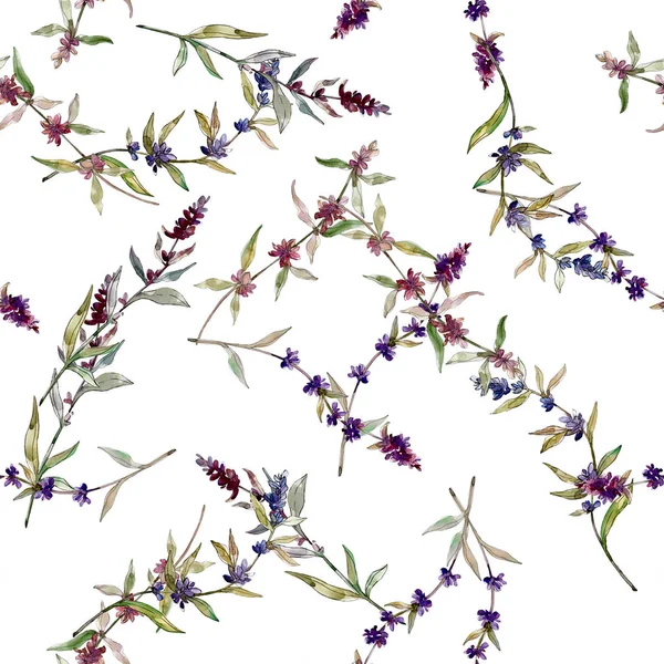 Purple Lavender Floral Botanical Flowers Wild Spring Leaf Wildflower Watercolor — Stock Photo, Image