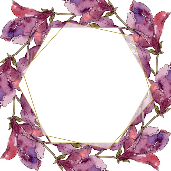 Fiori botanici floreali Camelia. Acquerello sfondo illustrazione set. Quadrato ornamento bordo cornice . — Foto Stock