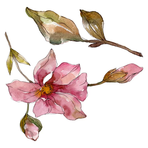 Λουλουδένια λουλούδια. Σύνολο εικονογράφησης φόντου. Μεμονωμένο στοιχείο απεικόνισης. — Φωτογραφία Αρχείου