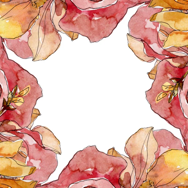 Camelia florale botanische blumen. Aquarell Hintergrundillustration Set. Rahmen Rand Ornament Quadrat. — Stockfoto