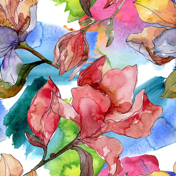 Camelia bloemen botanische bloemen. Aquarel achtergrond illustratie instellen. Naadloos achtergrond patroon. — Stockfoto