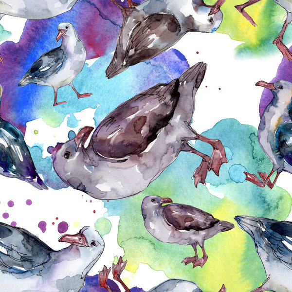 Sky bird seagull in a wildlife. Wild freedom, bird with a flying wings. Watercolor illustration set. Watercolour drawing fashion aquarelle. Seamless background pattern. Fabric wallpaper print texture.