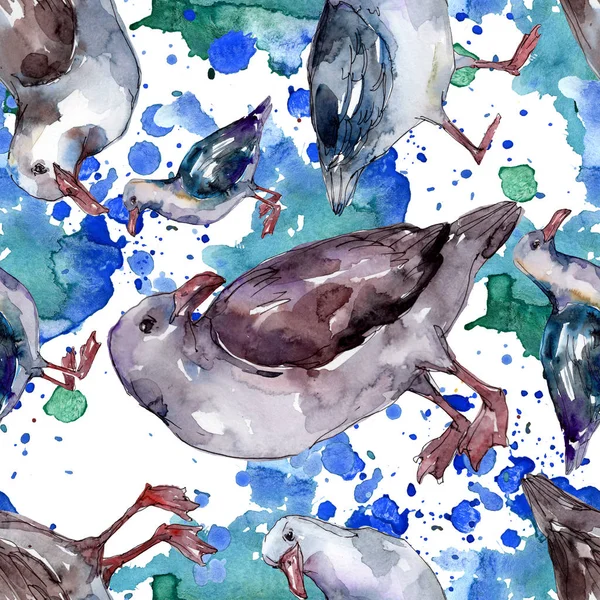 野生動物のスカイ鳥カモメ 野生の自由 飛ぶ翼を持つ鳥 水彩イラストセット 水彩画ファッションアクアレル シームレスな背景パターン ファブリック壁紙プリントテクスチャ — ストック写真