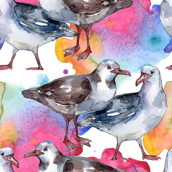 Sky bird seagull in a wildlife. Wild freedom, bird with a flying wings. Watercolor illustration set. Watercolour drawing fashion aquarelle. Seamless background pattern. Fabric wallpaper print texture.