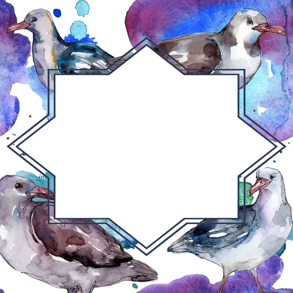 Sky bird seagull in a wildlife isolated. Wild freedom, bird with a flying wings. Watercolor background illustration set. Watercolour drawing fashion aquarelle. Frame border ornament square.
