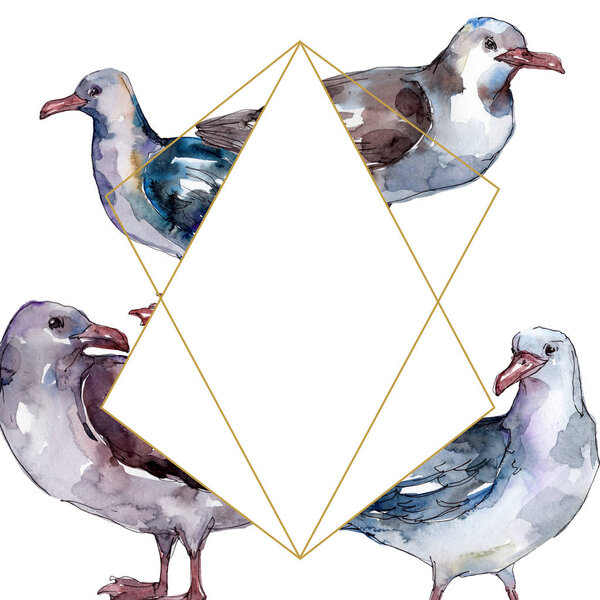 Sky bird seagull in a wildlife isolated. Wild freedom, bird with a flying wings. Watercolor background illustration set. Watercolour drawing fashion aquarelle. Frame border ornament square.