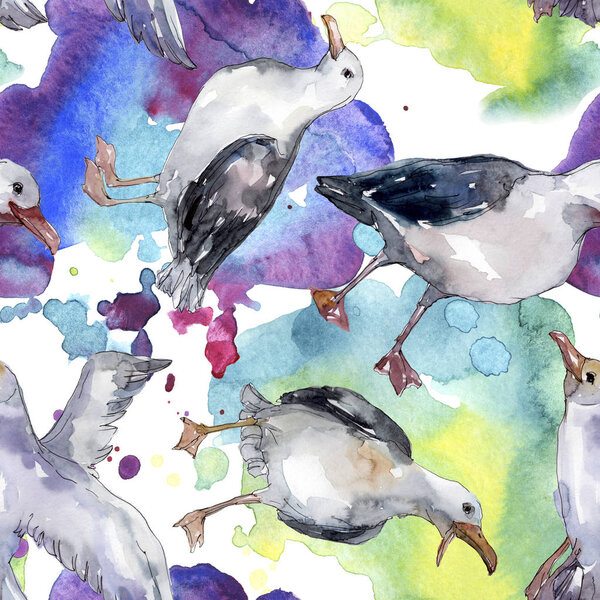 Sky bird seagull in a wildlife. Wild freedom, bird with a flying wings. Watercolor illustration set. Watercolour drawing fashion aquarelle. Seamless background pattern. Fabric wallpaper print texture.
