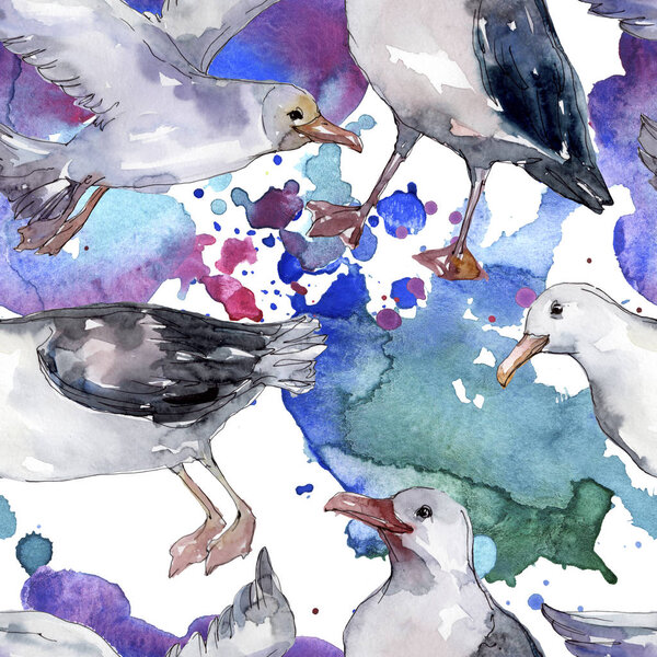 Sky bird seagull in a wildlife. Wild freedom, bird with a flying wings. Watercolor illustration set. Watercolour drawing fashion aquarelle. Seamless background pattern. Fabric wallpaper print texture.
