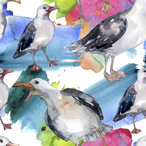 Sky bird seagull in a wildlife. Wild freedom, bird with a flying wings. Watercolor illustration set. Watercolour drawing fashion aquarelle. Seamless background pattern. Fabric wallpaper print texture.