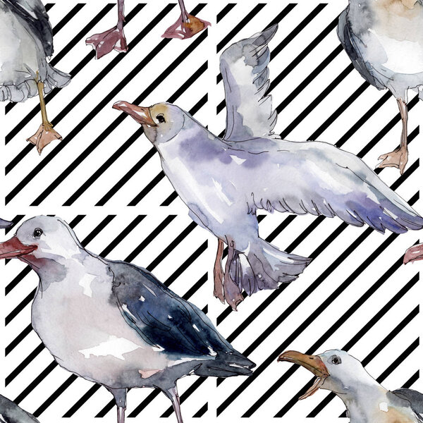 Sky bird seagull in a wildlife. Wild freedom, bird with a flying wings. Watercolor illustration set. Watercolour drawing fashion aquarelle. Seamless background pattern. Fabric wallpaper print texture.