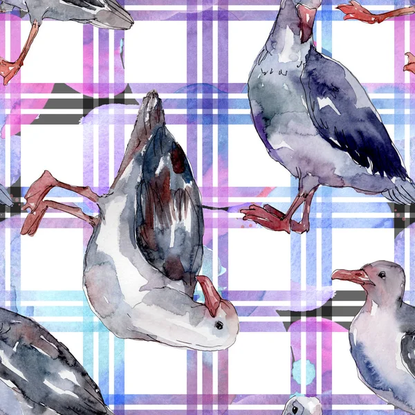 Niebo Ptak Seagull Dzikiej Przyrody Dzika Wolność Ptak Latającymi Skrzydłami — Zdjęcie stockowe