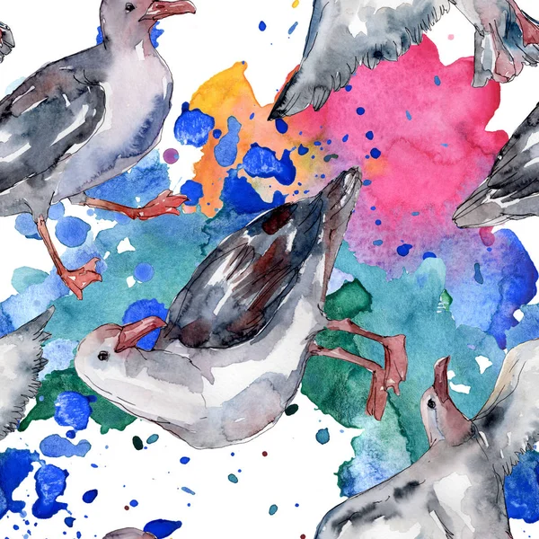 Sky Bird Seagull Wildlife Wild Freedom Bird Flying Wings Watercolor — Stock Photo, Image