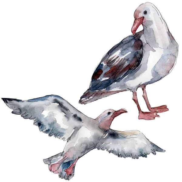 Sky Bird Seagull Wildlife Wild Freedom Bird Flying Wings Watercolor — Stock Photo, Image