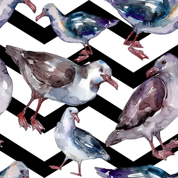 Sky bird seagull in a wildlife. Wild freedom, bird with a flying wings. Watercolor illustration set. Watercolour drawing fashion aquarelle. Seamless background pattern. Fabric wallpaper print texture. — Stock Image Sky Bird Seagull Wildlife Wild Freedom Bird Flying Wings Watercolor Stock Picture