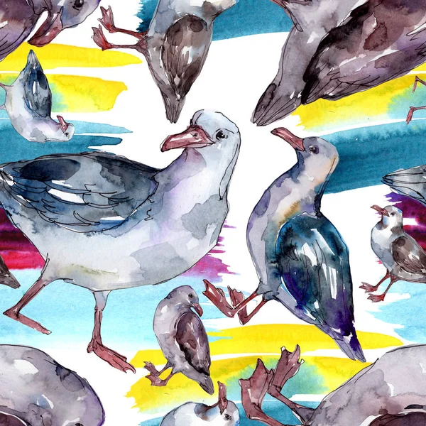Sky bird seagull in a wildlife. Wild freedom, bird with a flying wings. Watercolor illustration set. Watercolour drawing fashion aquarelle. Seamless background pattern. Fabric wallpaper print texture. — Stock Image Sky Bird Seagull Wildlife Wild Freedom Bird Flying Wings Watercolor Stock Photo