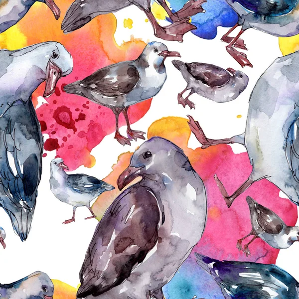Sky bird seagull in a wildlife. Wild freedom, bird with a flying wings. Watercolor illustration set. Watercolour drawing fashion aquarelle. Seamless background pattern. Fabric wallpaper print texture. — Stock Image Sky Bird Seagull Wildlife Wild Freedom Bird Flying Wings Watercolor Royalty Free Stock Images