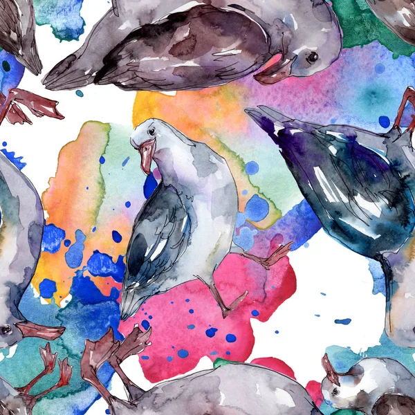 Sky bird seagull in a wildlife. Wild freedom, bird with a flying wings. Watercolor illustration set. Watercolour drawing fashion aquarelle. Seamless background pattern. Fabric wallpaper print texture. — Stock Image Sky Bird Seagull Wildlife Wild Freedom Bird Flying Wings Watercolor Stock Picture