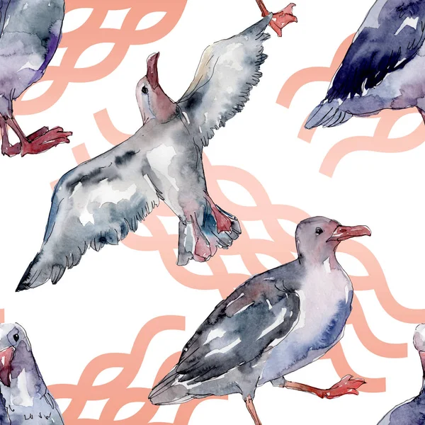 Sky bird seagull in a wildlife. Wild freedom, bird with a flying wings. Watercolor illustration set. Watercolour drawing fashion aquarelle. Seamless background pattern. Fabric wallpaper print texture. — Stock Image Sky Bird Seagull Wildlife Wild Freedom Bird Flying Wings Watercolor Stock Image