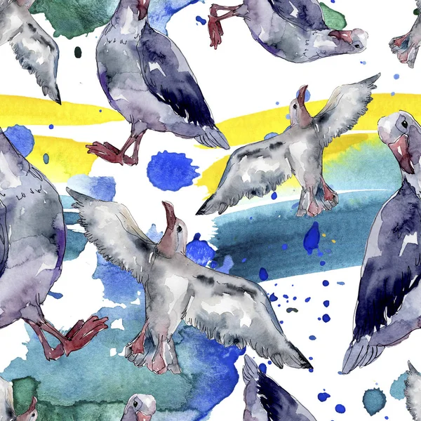 Sky bird seagull in a wildlife. Wild freedom, bird with a flying wings. Watercolor illustration set. Watercolour drawing fashion aquarelle. Seamless background pattern. Fabric wallpaper print texture. — Stock Image Sky Bird Seagull Wildlife Wild Freedom Bird Flying Wings Watercolor Stock Image
