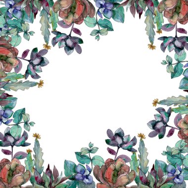 Sulu çiçek botanik çiçekleri. Yabani bahar yaprağı kır çiçeği izole. Suluboya arka plan illüstrasyon seti. Suluboya çizim moda aquarelle izole. Çerçeve kenarlık süs karesi.