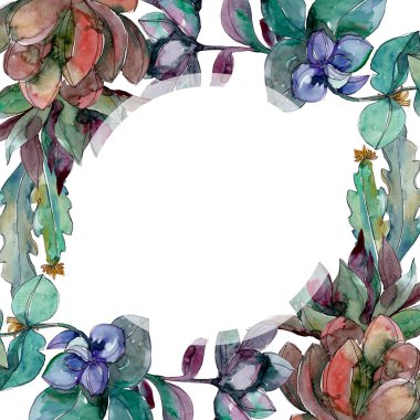 Sulu çiçek botanik çiçekleri. Yabani bahar yaprağı kır çiçeği izole. Suluboya arka plan illüstrasyon seti. Suluboya çizim moda aquarelle izole. Çerçeve kenarlık süs karesi.