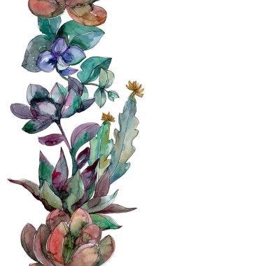 Sulu çiçek botanik çiçekleri. Yabani bahar yaprağı kır çiçeği. Suluboya illüstrasyon seti. Suluboya çizim moda aquarelle. Kusursuz arka plan deseni. Kumaş duvar kağıdı baskı doku.